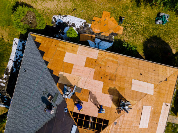 Best Roof Maintenance Services  in Hill City, KS